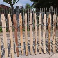 Staketenzaun 50 cm hoch mit einem Lattabstand von 2-4 cm.