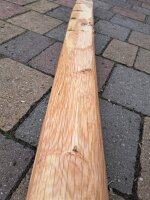 Eichenpfähle und Hölzer