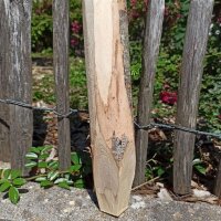 Pfähle mit einer Höhe von 120 cm