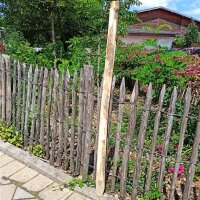 Pfähle mit einer Höhe von 130 cm