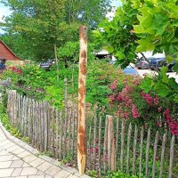 Pfähle mit einer Höhe von 175 cm