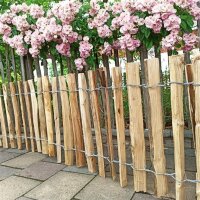 Staketenzaun 40 cm hoch mit einem Lattabstand von 2-4 cm.