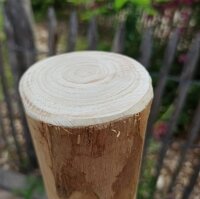 Rundholz Kastanie Höhe 90 cm Durchmesser ca 8cm