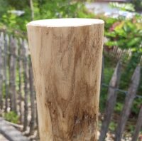 Rundholz Kastanie Höhe 100 cm Durchmesser ca 8cm Mit Einschlagbodenhülse (+11,50 Euro)