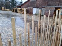 Kastanie Staketenzaun Dolomit 150/180 cm hoch, 5m-Rolle,...