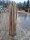 Kastanie Staketenzaun Dolomit 150/180 cm hoch, 5m-Rolle, Lattabstand ca 4-6cm