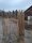 Kastanie Staketenzaun Dolomit 150/180 cm hoch, 5m-Rolle, Lattabstand ca 4-6cm