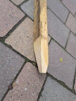 Restposten Fünfkant Zaunpfahl 75cm