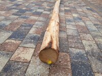 Stammware Eiche Länge 300 cm rund Durchmesser ca...