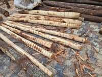 Stammware Eiche Länge 300 cm rund Durchmesser ca 12-15cm