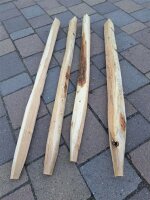NEU Spaltpfahl Eiche Höhe 100cm, Umfang 15/20cm, mit...