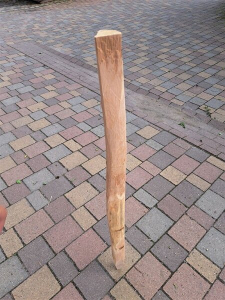 NEU Spaltpfahl Eiche Höhe 120cm, Umfang 20/24cm, mit Spitze