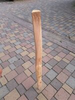 NEU Spaltpfahl Eiche Höhe 120cm, Umfang 20/24cm, mit...