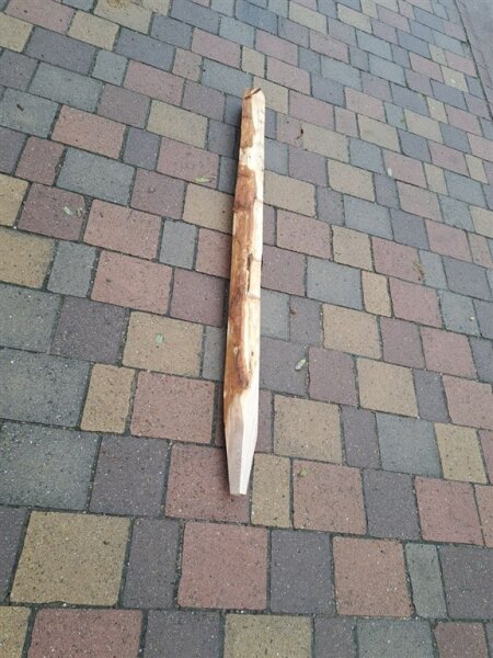 NEU Spaltpfahl Eiche Höhe 150cm, Umfang 26/32, mit Spitze