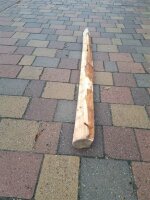 NEU Spaltpfahl Eiche Höhe 150cm, Umfang 26/32, mit...
