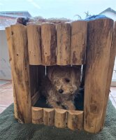 Hundehütte klein aus naturbelassenem Kastanienholz