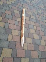 NEU Spaltpfahl Eiche Höhe 130cm, Umfang 26/32, mit...