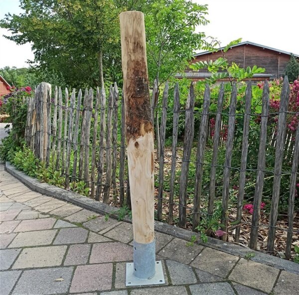 Rundholz Kastanie Höhe 100 cm Durchmesser ca 8cm