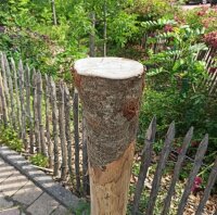 Rundholz Kastanie Höhe 120 cm Durchmesser ca 8cm