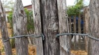 Schrauben Edelstahl Tx 5x80 100 Stück Terrassenschrauben selbstbohrend