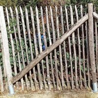 Schrauben Edelstahl Tx 5x80 100 Stück Terrassenschrauben selbstbohrend