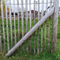 Schrauben Edelstahl Tx 5x80 100 Stück Terrassenschrauben selbstbohrend