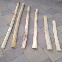 Kastanie Stakete Dolomit 70cm hoch
