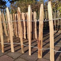 Proline Staketenzaun Kastanie 50 cm hoch, 1m-Schnittware...