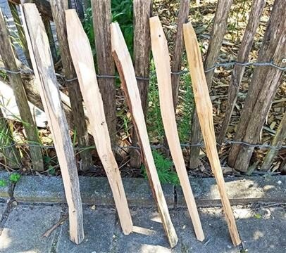 Kastanie Stakete 60 cm hoch