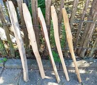 Kastanie Stakete 60 cm hoch