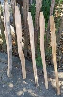 Kastanie Stakete 60 cm hoch