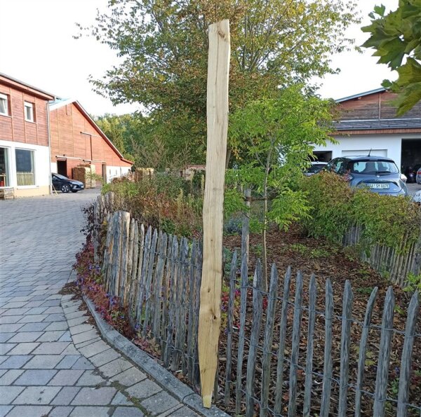 Spaltpfahl Kastanie Höhe 200cm, Umfang 26/32, mit Spitze, angegraut