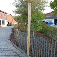 Spaltpfahl Kastanie Höhe 200cm, Umfang 26/32, mit...