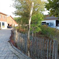 Spaltpfahl Kastanie Höhe 200cm, Umfang 26/32, mit...