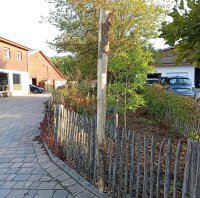 Spaltpfahl Kastanie Höhe 200cm, Umfang 26/32, mit Spitze, angegraut
