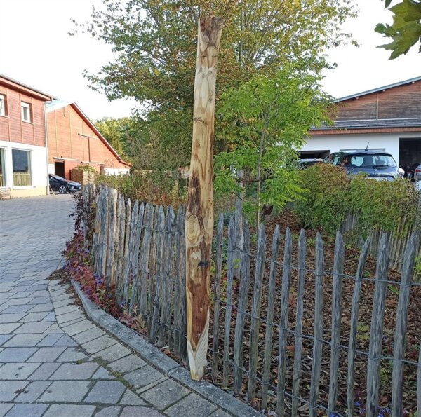 Spaltpfahl Kastanie Höhe 180cm, Umfang 26/32, mit Spitze, angegraut