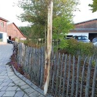 Spaltpfahl Kastanie Höhe 180cm, Umfang 26/32, mit Spitze, angegraut