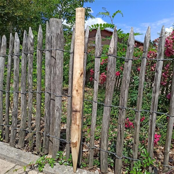 Zaunpfahl Kastanie Höhe 80 cm rund zu Zaun Höhe 40 cm Durchmesser ca 5-7cm mit Spitze