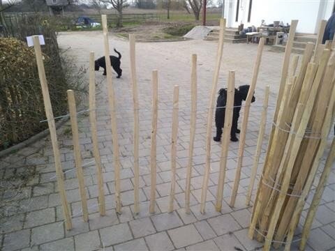 Kastanie Staketenzaun Dolomit 100/140 cm hoch, 10m-Rolle, Lattabstand ca 8-10cm