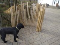 Kastanie Staketenzaun Dolomit 100/140 cm hoch, 10m-Rolle,...