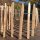 Proline Staketenzaun Kastanie 8-10cm Lattabstand 50cm Höhe 1m Länge