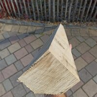 Fünfkant-Zaunpfahl Kastanie Höhe 150 cm zu Zaun Höhe 100 cm Durchmesser ca 7-9 cm mit Spitze
