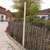 Fünfkant-Pflanzpfahl Kastanie Höhe 100 cm...