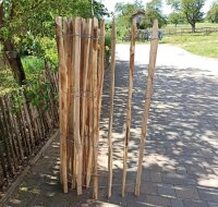 Proline Staketenzaun Kastanie 150 cm hoch, 5m-Rolle,...