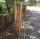 Proline Staketenzaun Kastanie 150 cm hoch, 5m-Rolle, Lattabstand ca 8-10cm