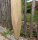 Zaunpfahl Kastanie Höhe 225 cm rund zu Zaun Höhe 175 cm Durchmesser ca 6-8cm mit Spitze