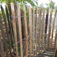Proline Staketenzaun Kastanie 80 cm hoch, 10m-Rolle,...