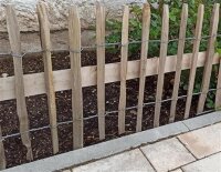 Proline Staketenzaun Kastanie 50 cm hoch, 1m-Schnittware bis max 9m Länge, Lattabstand ca 4-6cm