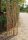 Proline Staketenzaun Kastanie 200 cm hoch, 5 m, Lattabstand ca 4-6cm
