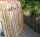 Proline Staketenzaun Kastanie 175 cm hoch, 5 m, Lattabstand ca 4-6cm